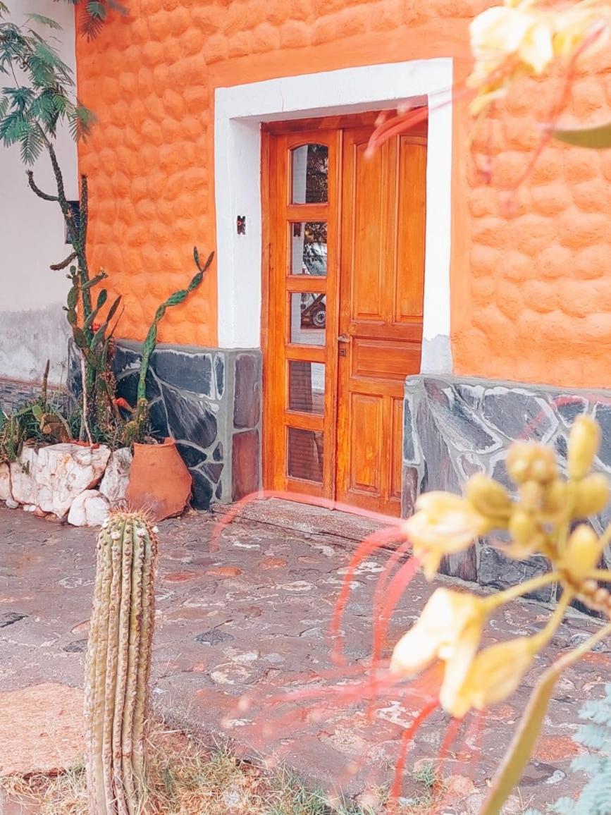 Munay Ecohostal - Cabanas De Adobe Tinogasta Rum bild